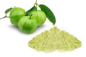 Spice Emporium Guava Leave Powder 100g